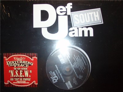 Disturbing Tha Peace - N.S.E.W. / Can`t Be Stopped (I Know) download mp3 flac
