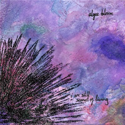 Algae Bloom - I Am Still Scared Of Living download mp3 flac