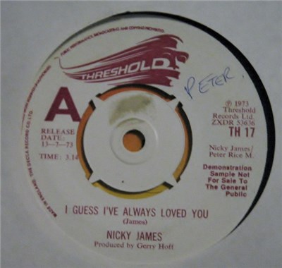 Nicky James - I Guess I've Always Loved You download mp3 flac