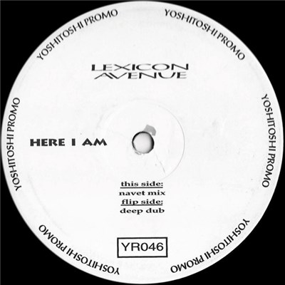 Lexicon Avenue - Here I Am download mp3 flac