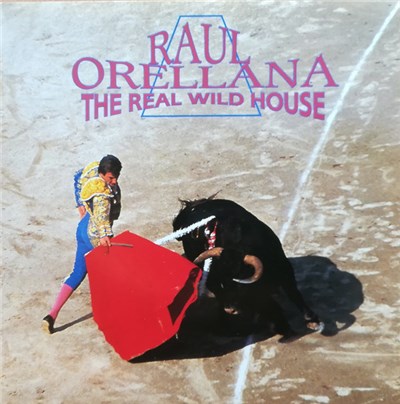 Raul Orellana - The Real Wild House download mp3 flac