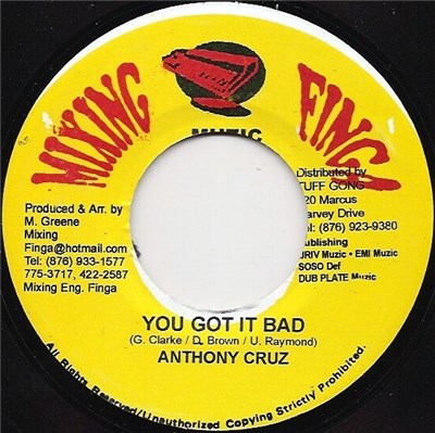Anthony Cruz - You Got It Bad download mp3 flac