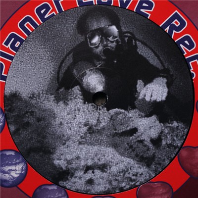 Coral Reef - Swan Dive download mp3 flac