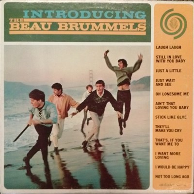 The Beau Brummels - Introducing The Beau Brummels download mp3 flac