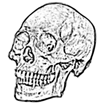 The Answer / Fucker's Wall / Scorpion Sound Source / The O'Brien Project - The White Skulll download mp3 flac