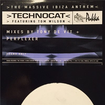 Technocat Featuring Tom Wilson - Technocat (Mixes By Tony De Vit + Perplexer) download mp3 flac