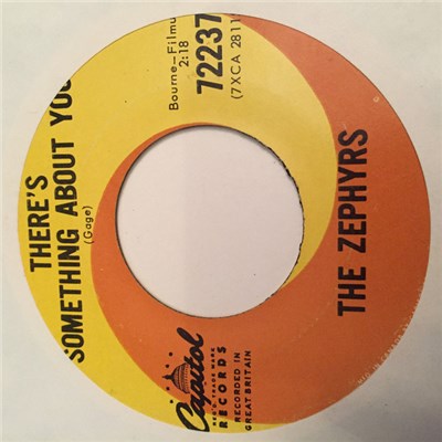 The Zephyrs - There's Something About You download mp3 flac