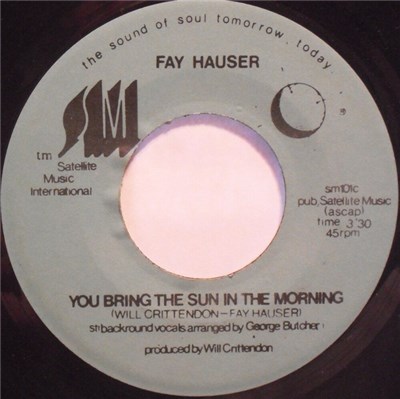 Fay Hauser - You Bring The Sun In The Morning download mp3 flac