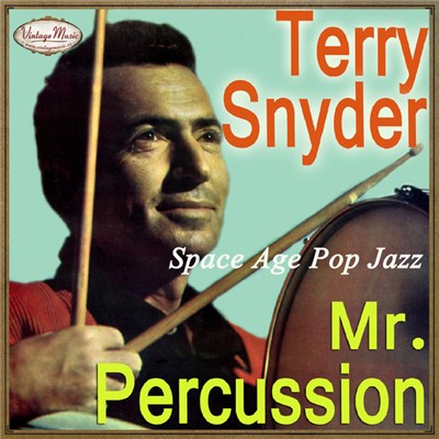 Terry Snyder - Mister Percussion download mp3 flac