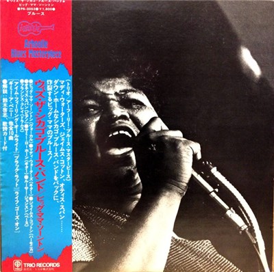 Big Mama Thornton - Big Mama the Queen at Monterey download mp3 flac