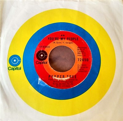 Pepper Tree - You're my People / From a Candle download mp3 flac