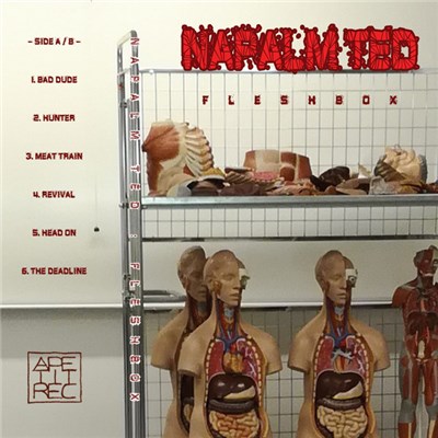 Napalm Ted - Fleshbox download mp3 flac