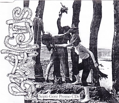 Bowel Fetus - Septi-Gore Promo CDr download mp3 flac