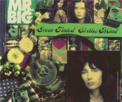 Mr. Big - Green Tinted Sixties Mind download mp3 flac