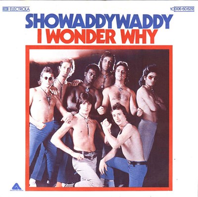 Showaddywaddy - I Wonder Why download mp3 flac