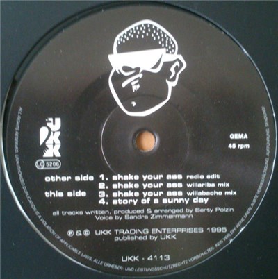 Beatcounter - Shake Your Ass download mp3 flac