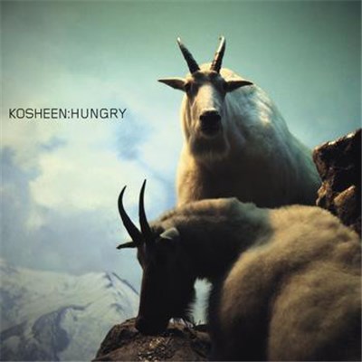 Kosheen - Hungry (Jan Driver Less Vocal Dub) download mp3 flac