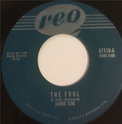 Jamie Coe - The Fool download mp3 flac