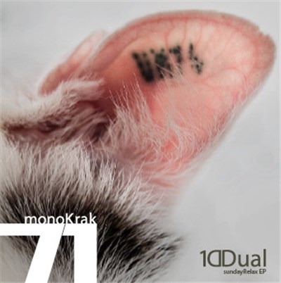 1ddual - Sunday Relax EP download mp3 flac