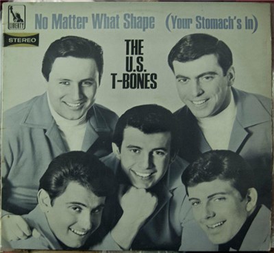 The U.S. T-Bones - No Matter What Shape (Your Stomach's In) download mp3 flac
