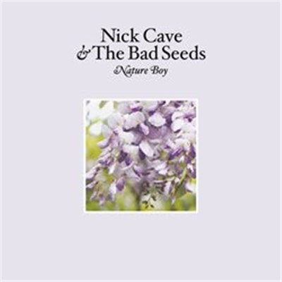 Nick Cave & The Bad Seeds - Nature Boy download mp3 flac