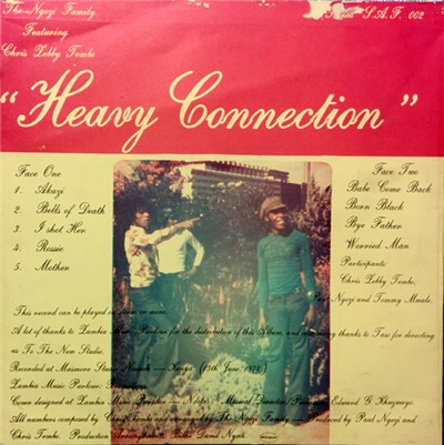 The Ngozi Family - Heavy Connection download mp3 flac