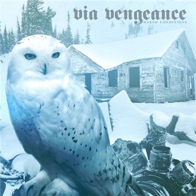Via Vengeance - Harsh Conditions download mp3 flac