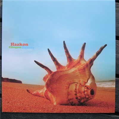 Haakon Ellingsen - Bounty download mp3 flac