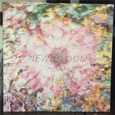 Endless Heights - New Bloom download mp3 flac