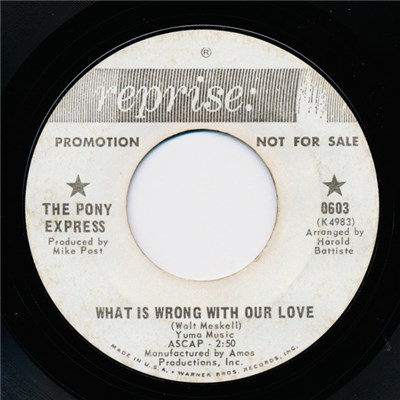 The Pony Express - What Is Wrong With Our Love / Big Brown Eyes download mp3 flac