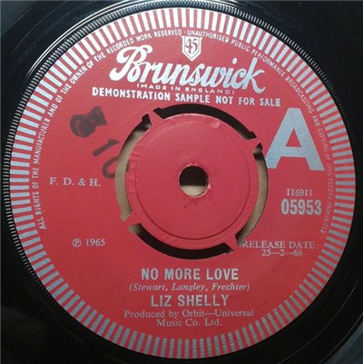Liz Shelly - No More Love download mp3 flac