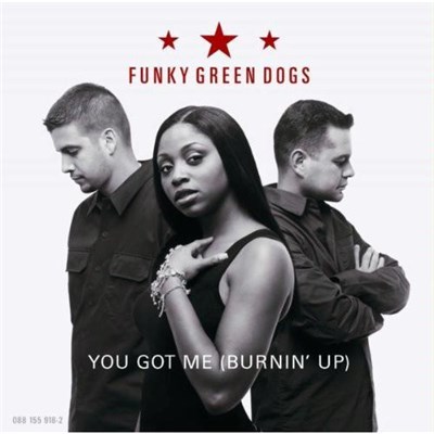 Funky Green Dogs - You Got Me (Burnin’ Up) download mp3 flac
