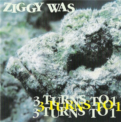 Ziggy Was - 3 Turns To 1 download mp3 flac