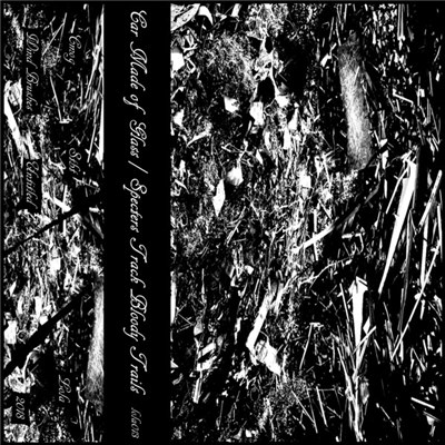Car Made Of Glass, Specters Track Bloody Trails - Wind BrushesUntitled download mp3 flac