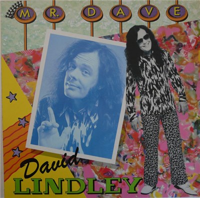 David Lindley - Mr. Dave download mp3 flac