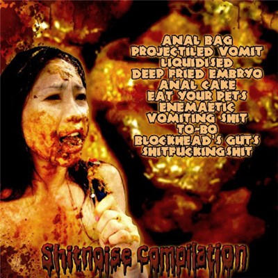 Various - Shitnoise Compilation download mp3 flac
