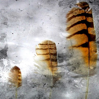 X=18 - Featherscholar: Book II download mp3 flac