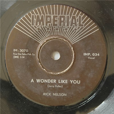 Ricky Nelson - A Wonder Like You download mp3 flac