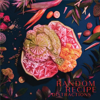 Random Recipe - Distractions download mp3 flac