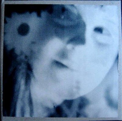MV & EE - The Temptation To Zoology download mp3 flac