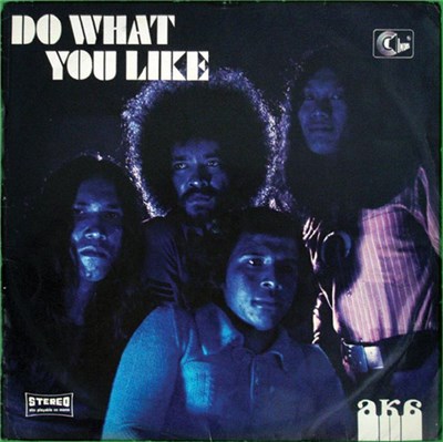 AKA - Do What You Like download mp3 flac
