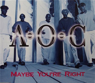 A.O.C. - Maybe You're Right download mp3 flac