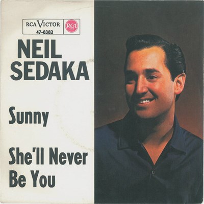 Neil Sedaka - Sunny / She'll Never Be You download mp3 flac