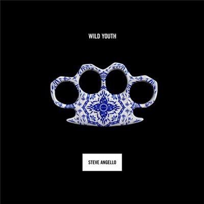Steve Angello - Wild Youth download mp3 flac