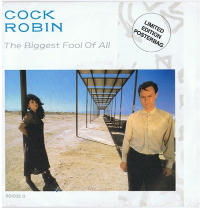 Cock Robin - The Biggest Fool Of All download mp3 flac