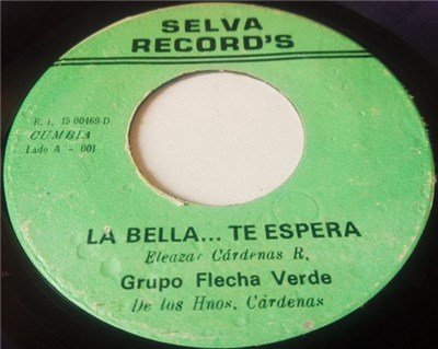 Grupo Flecha Verde - La Bella...Te Espera download mp3 flac