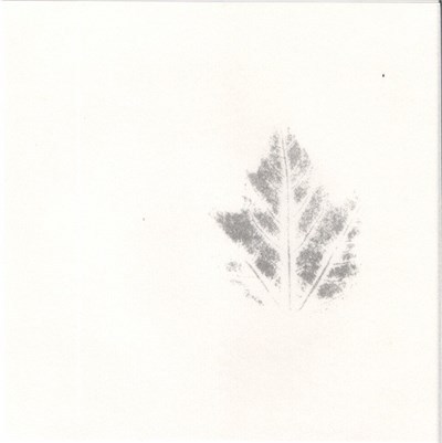 His Name Is Alive - Leaf Club download mp3 flac