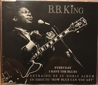 B.B. King - Everyday I Have The Blues download mp3 flac
