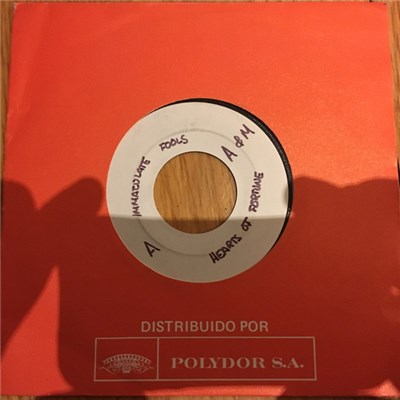 Immaculate Fools - Hearts Of Fortune (Corazones De Suerte) download mp3 flac