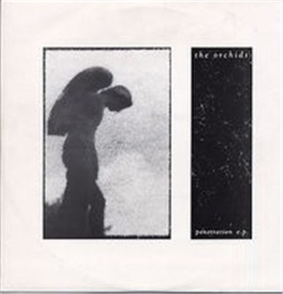 The Orchids - Penetration E.P. download mp3 flac